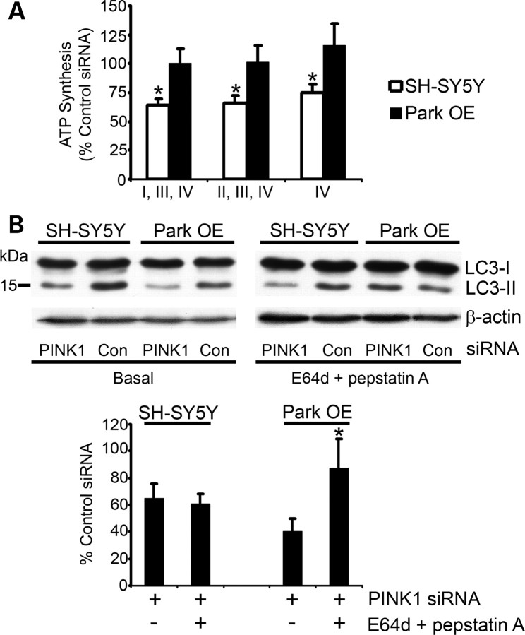 Figure 1.