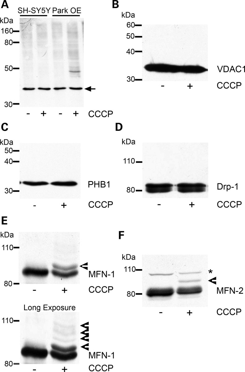 Figure 3.