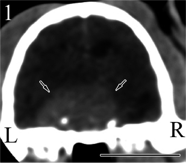 Fig. 1.