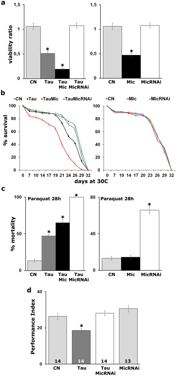 Fig.2