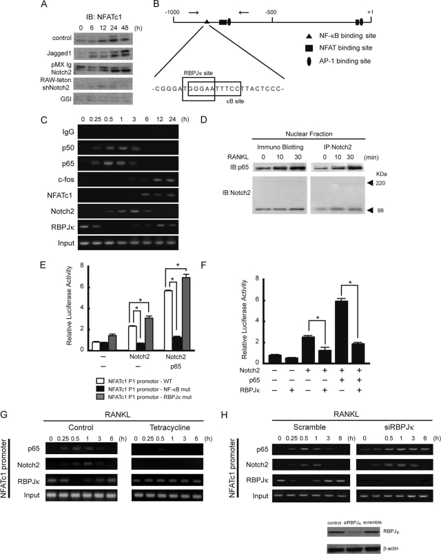 FIG. 6.