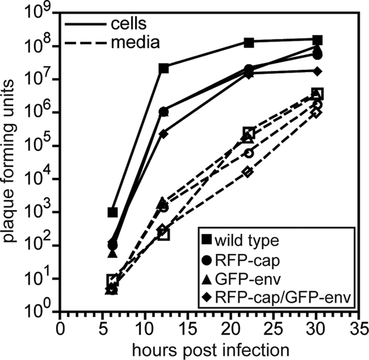 FIG. 1.