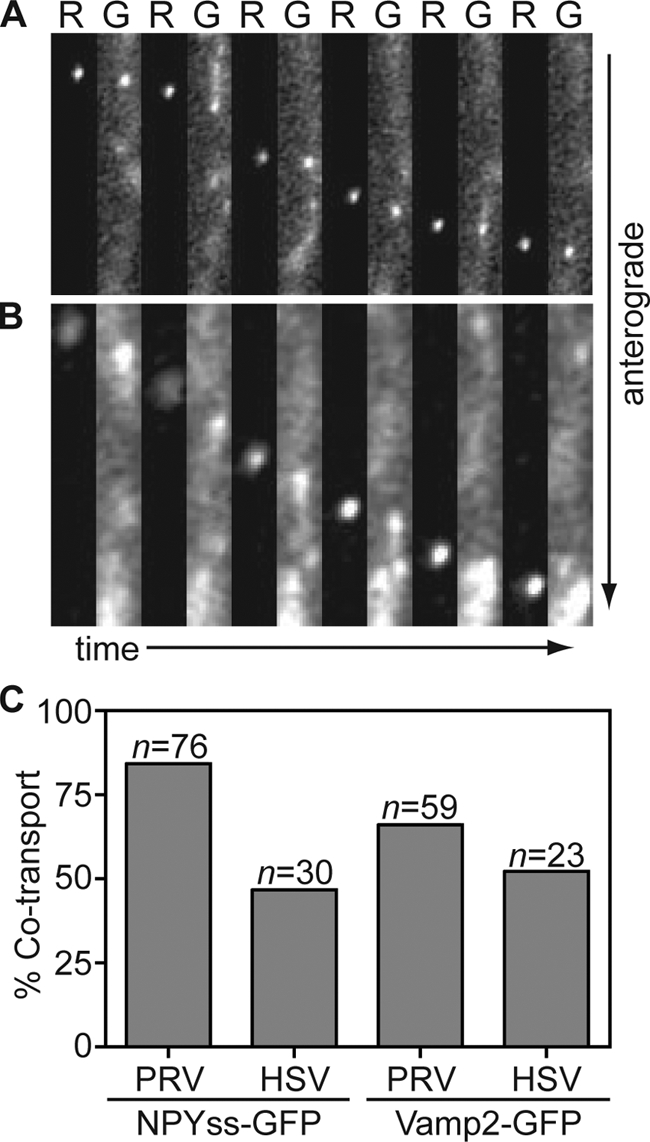 FIG. 6.