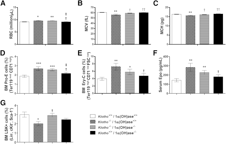 Figure 6