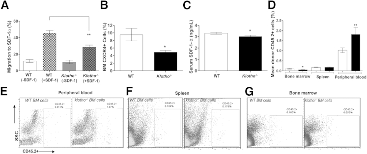 Figure 5