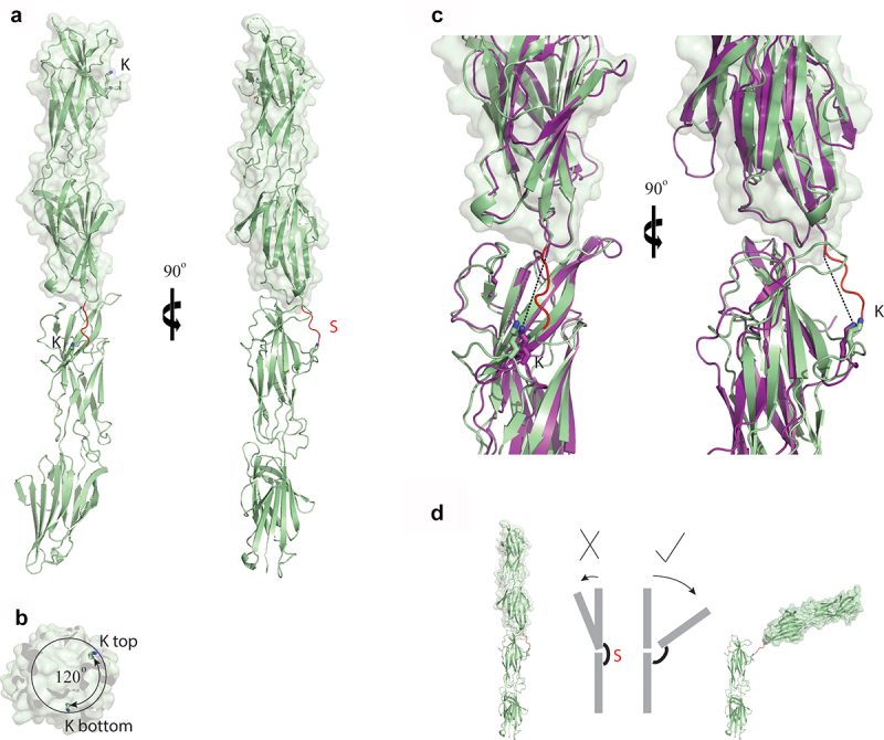 Figure 5.