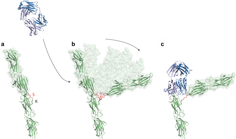 Figure 6.