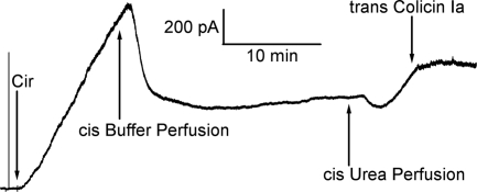 Fig. 6.