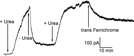 Fig. 7.