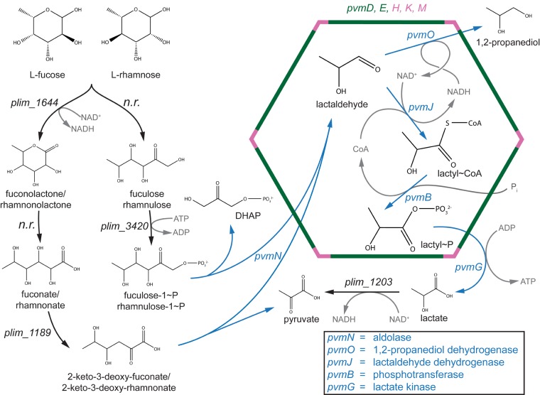 FIG 6