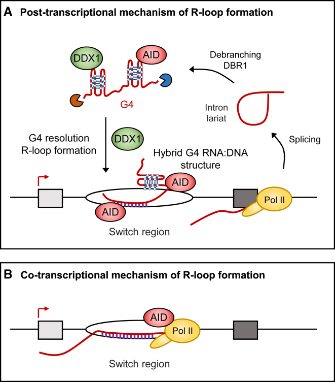 Figure 7