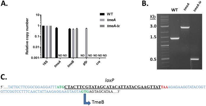 FIG 4