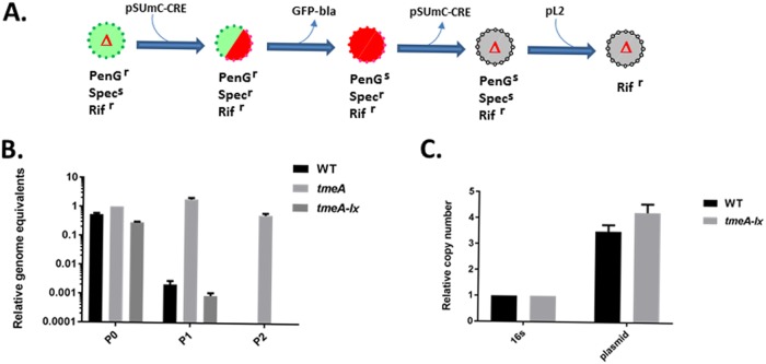 FIG 3