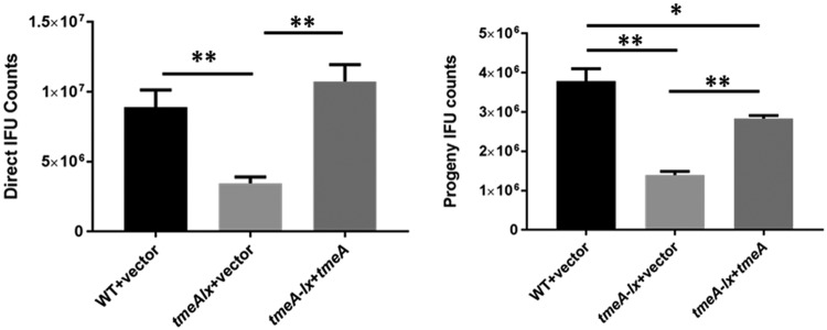 FIG 6