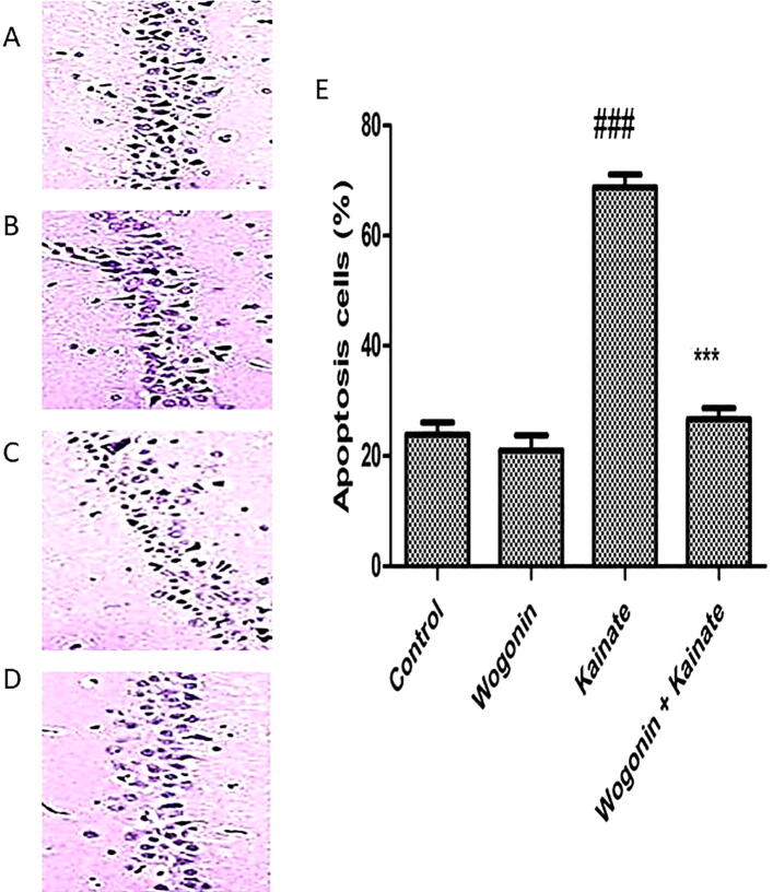 Fig. 4