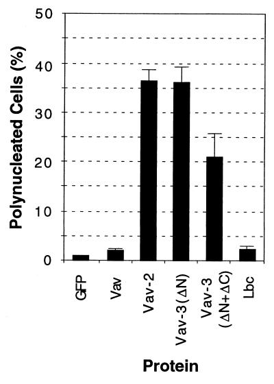 FIG. 7