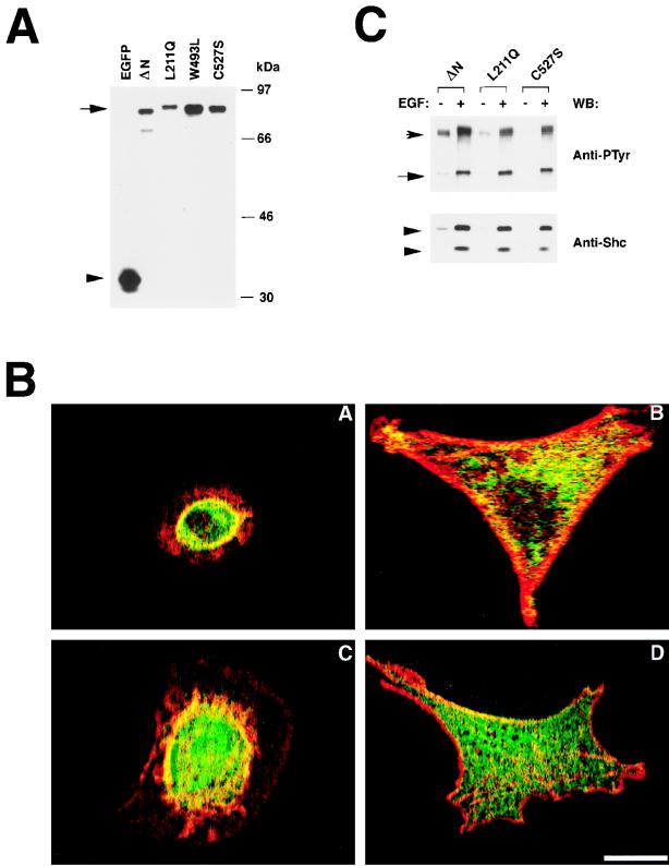 FIG. 8