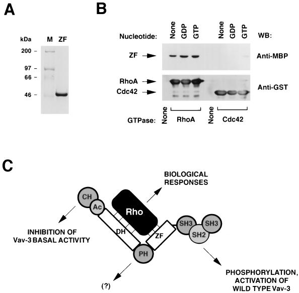 FIG. 10