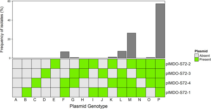 FIG 3