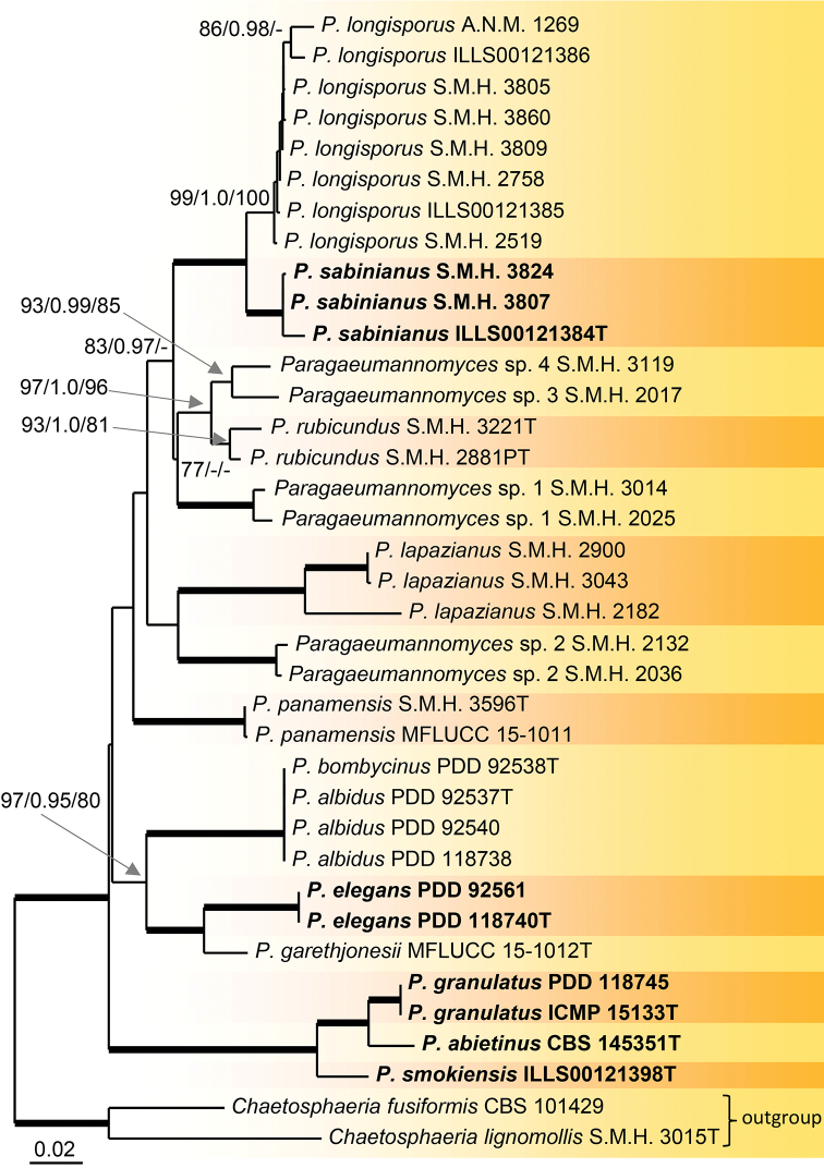 Figure 2.