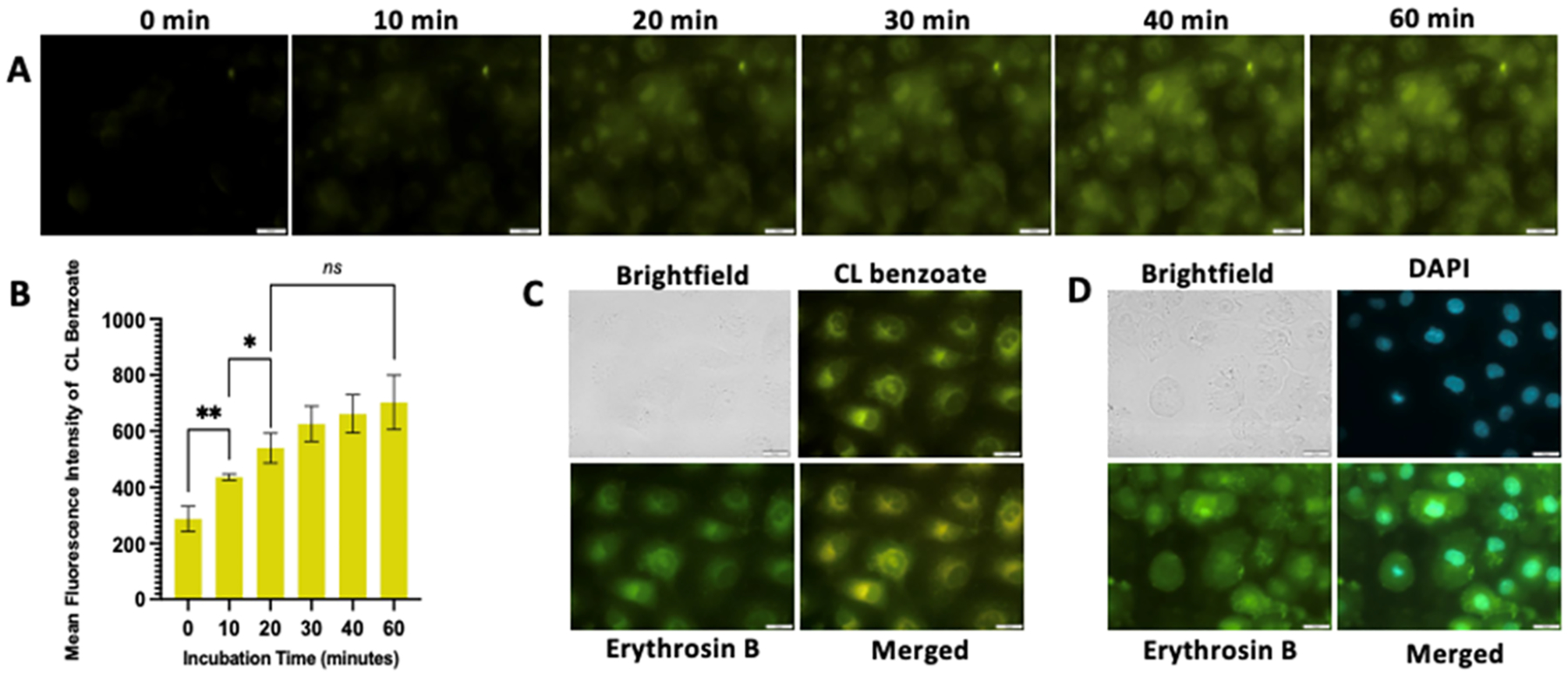 Figure 5.