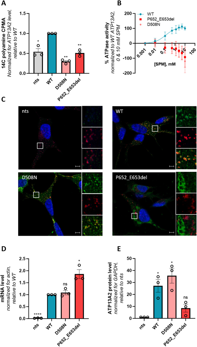 Figure 3