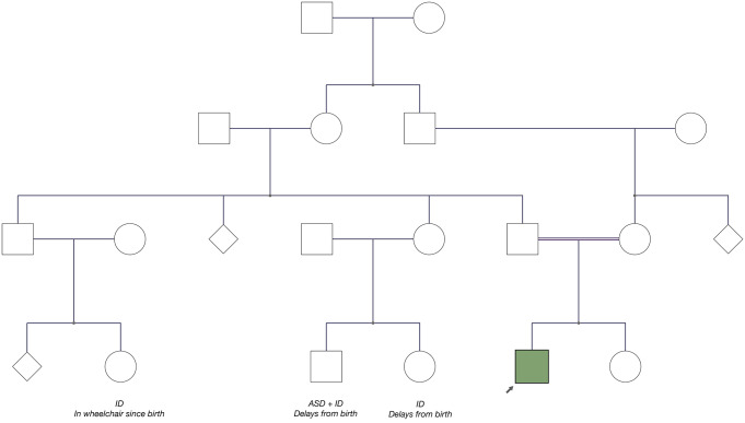 Fig. 1