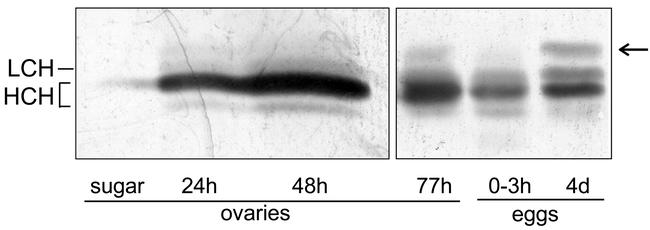 Figure 10.