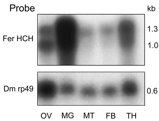 Figure 6.