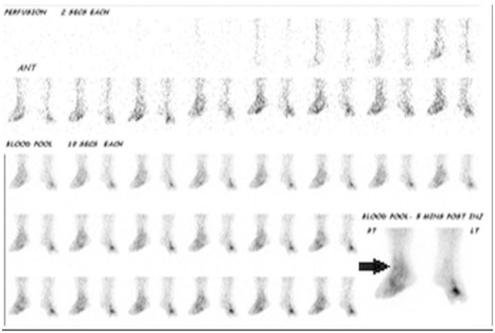 Fig. 2.