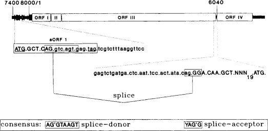 Fig. 7.22