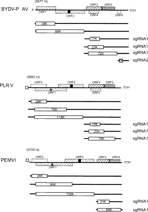 Fig. 7.30