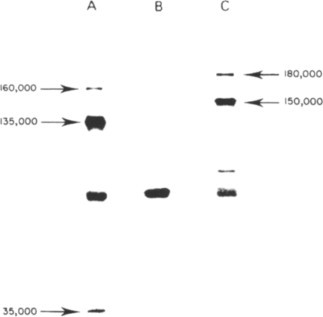 Fig. 7.8