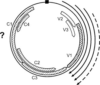 Fig. 7.13