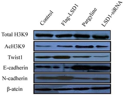 Figure 9