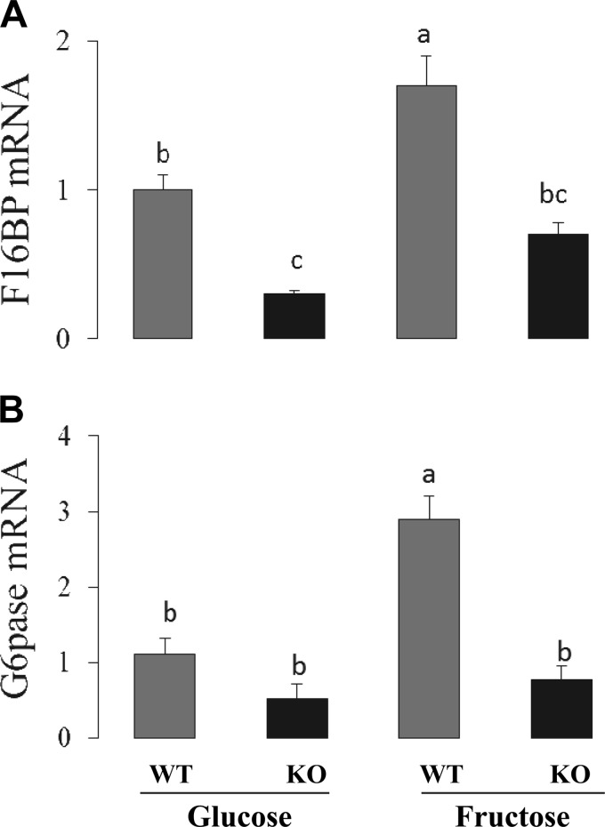 Fig. 9.