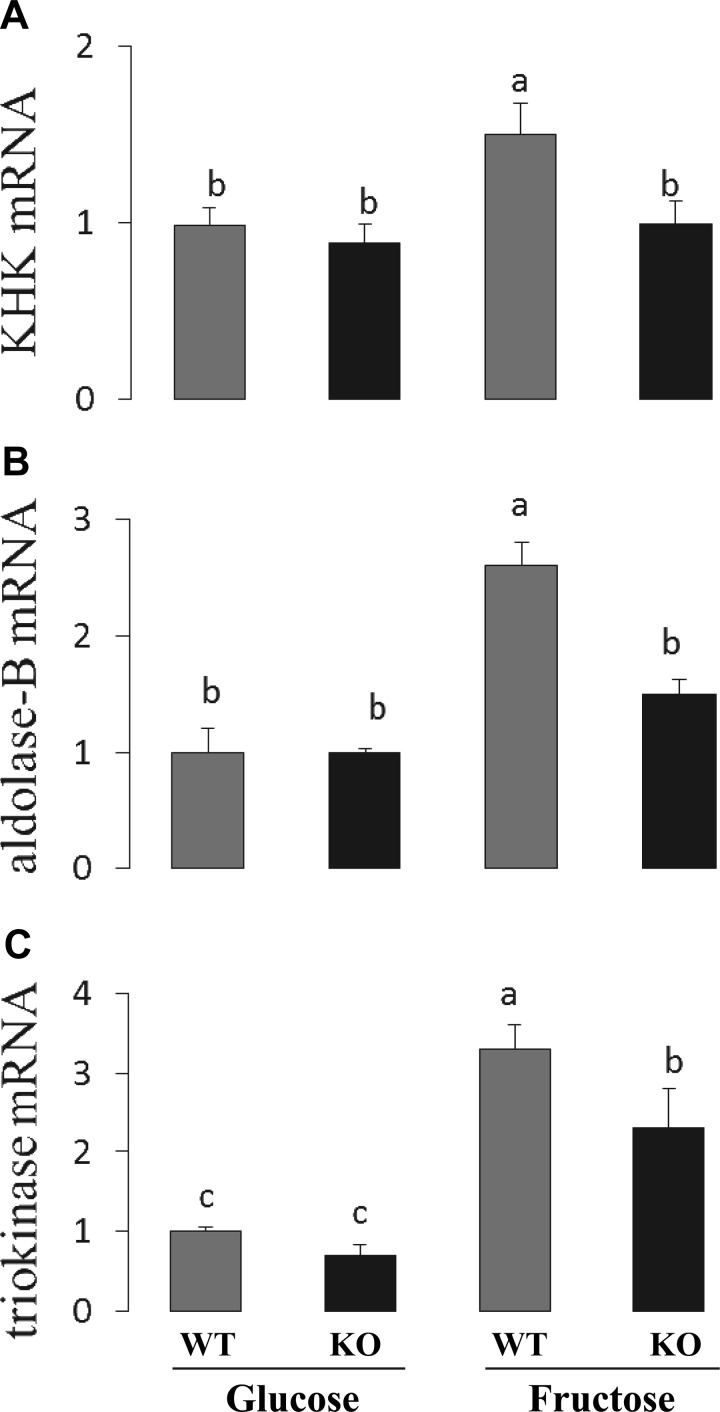 Fig. 8.