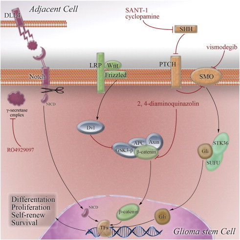 Figure 3