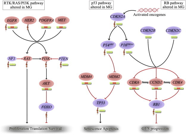 Figure 1