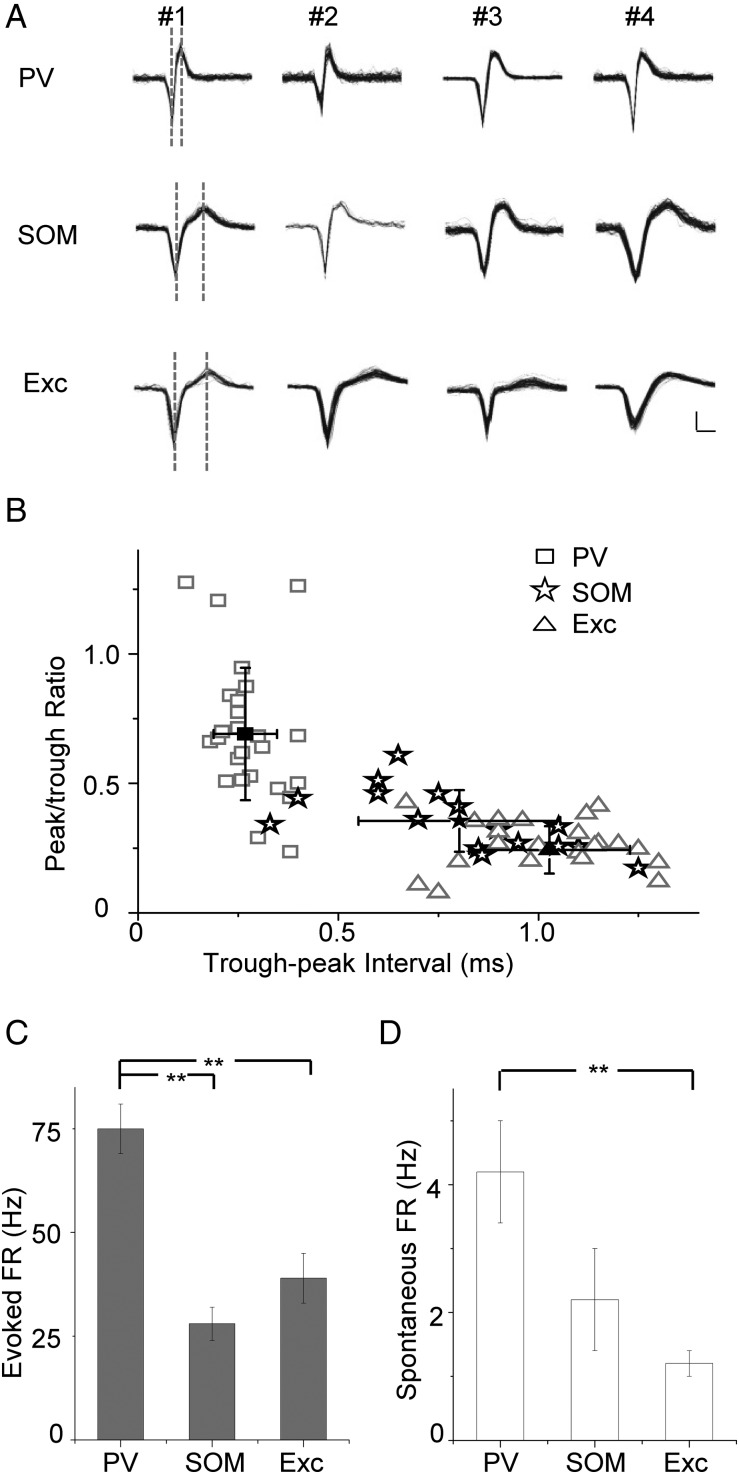 Figure 2.