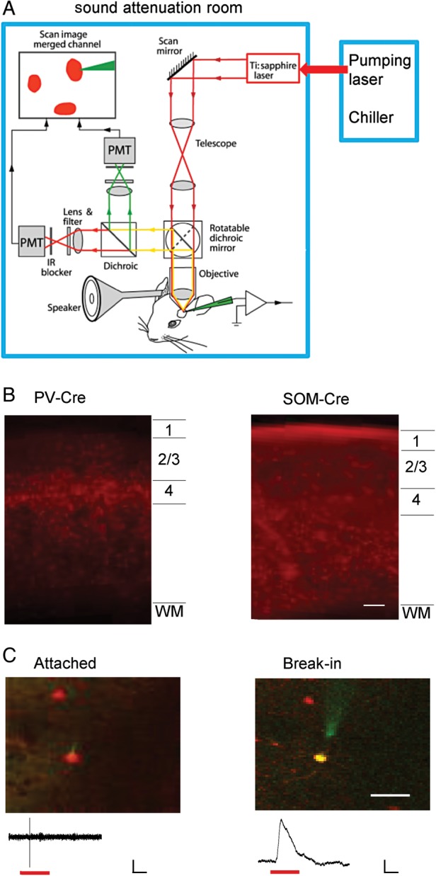 Figure 1.