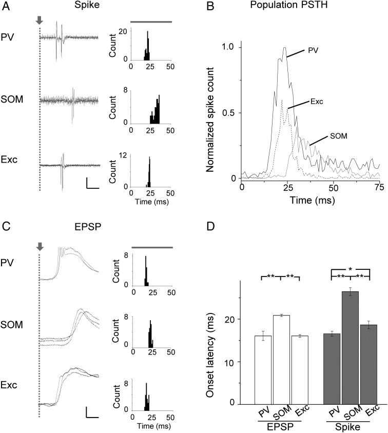 Figure 6.