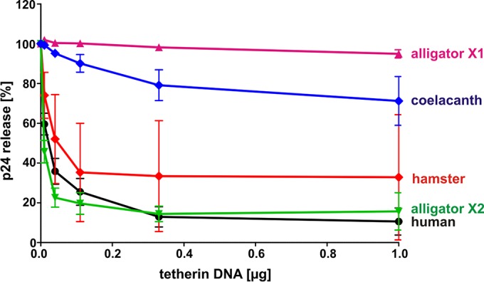 FIG 4