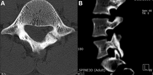 Figure 2