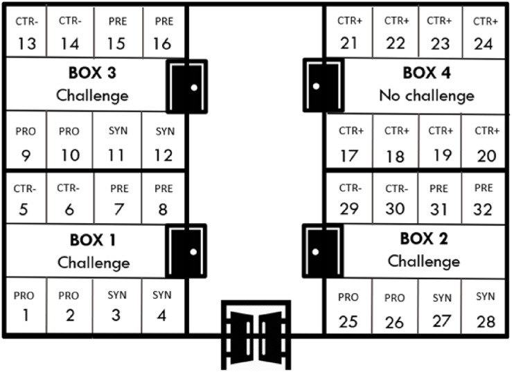 FIGURE 1