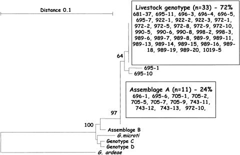 FIG. 3.