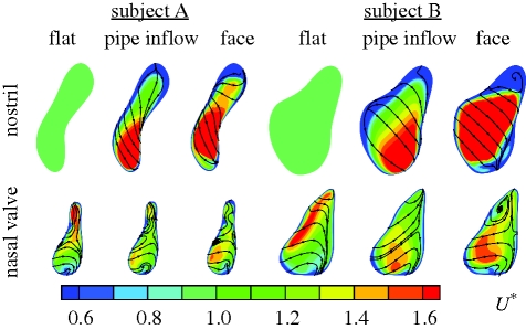 Figure 5.