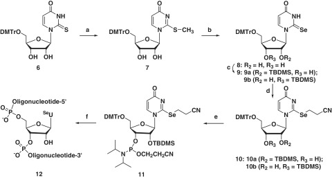 Scheme 1.