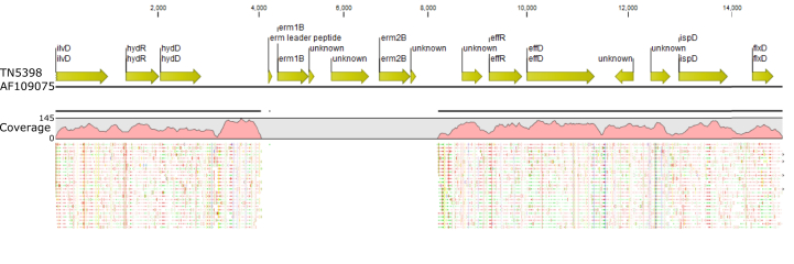 Fig. 3