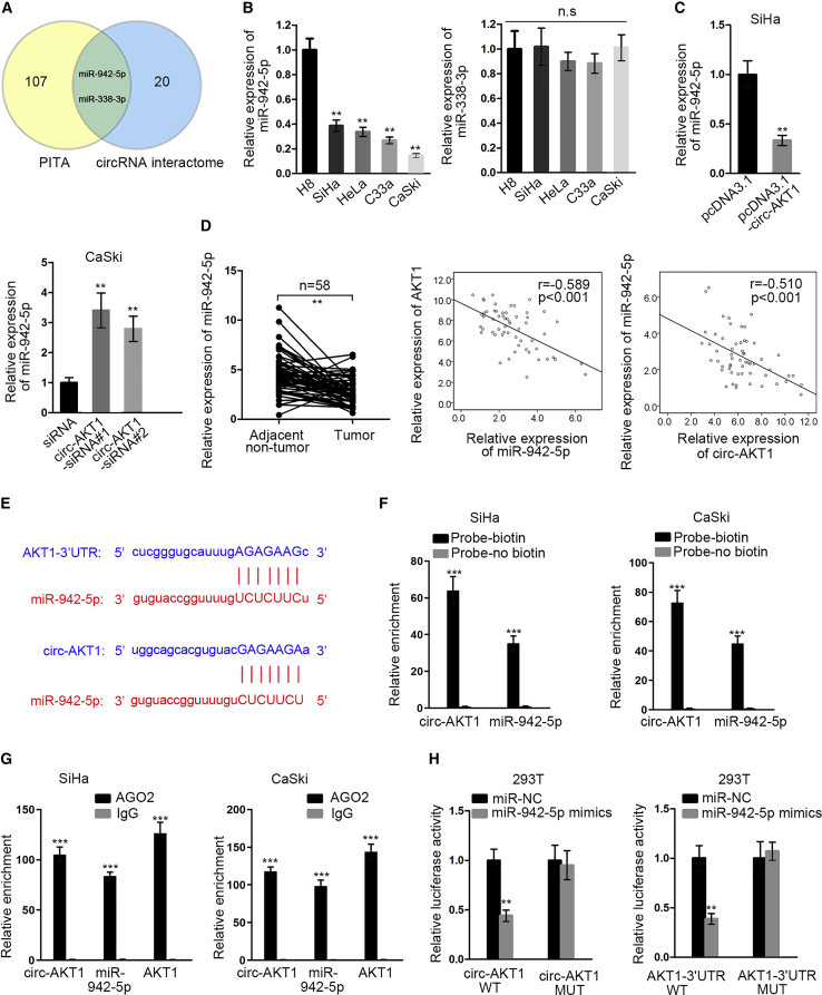 Figure 6